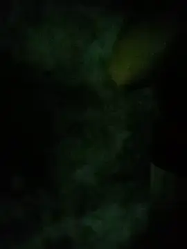 Lyp60  live sex cam