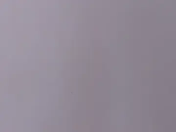 Abby_stp  live sex cam