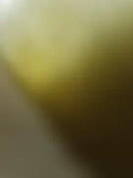 Lauri24  live sex cam