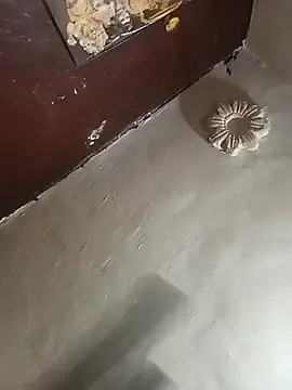 Pyarimoto  live sex cam