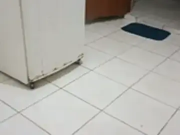 Xxxxbucetinhaxxxx  live sex cam