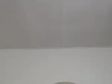 Abril_Squirt  live sex cam