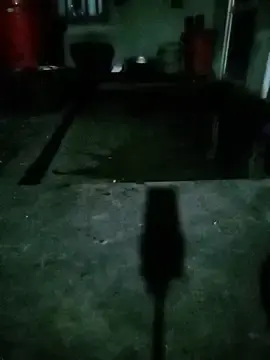 Lan-xinh  live sex cam