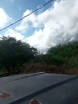 Mariany___  live sex cam