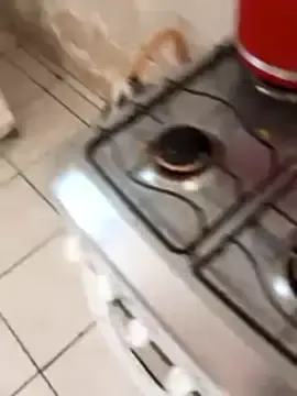 ____bucetuda_______  live sex cam