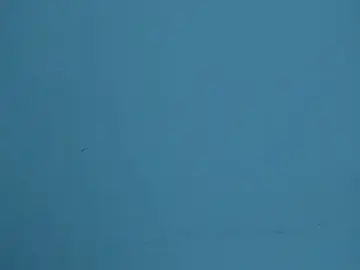 AnnaPonse  live sex cam