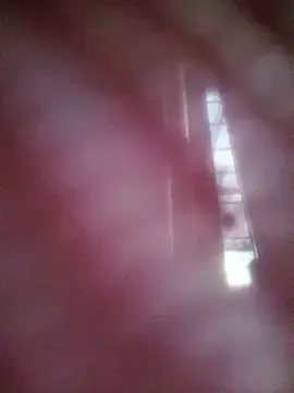 Tatybellaaaa  live sex cam