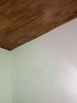 Barbie_gv  live sex cam