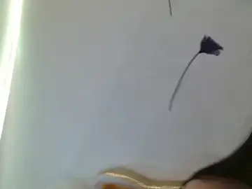 DaniRaf  live sex cam