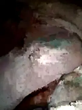 ChaCha_Sexy  live sex cam