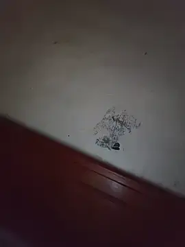 Monaxinaa  live sex cam