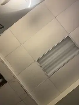 KatieX030  live sex cam