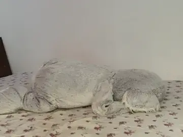 JullyanaRain  live sex cam