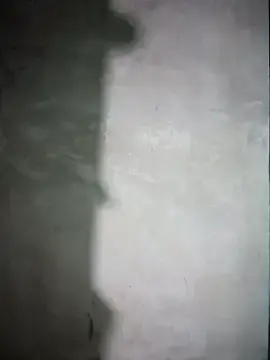 Milo123-xx  live sex cam