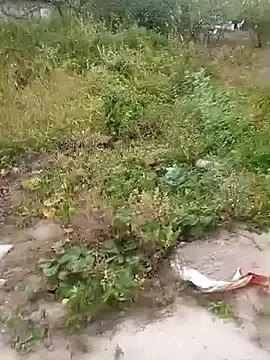 ____novinha_do___pack  live sex cam