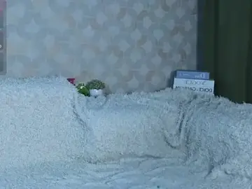 InesWiltse  live sex cam