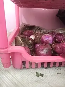 Villageanuty  live sex cam