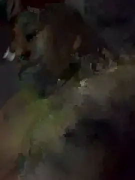 Dvsher10  live sex cam