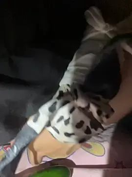 -Nolyn-  live sex cam