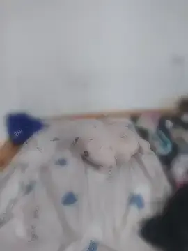 Gretasexcy  live sex cam