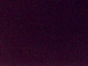 TigreBianca27  live sex cam