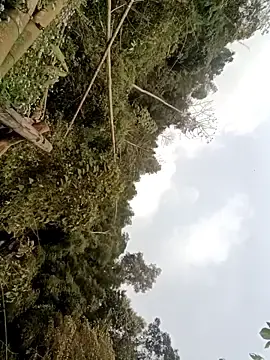 Cute-girl-2k  live sex cam