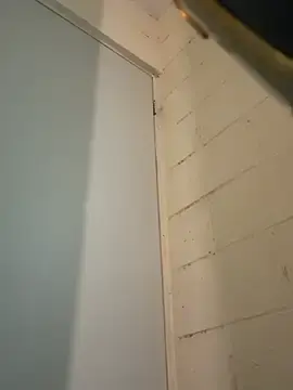 Cutemilibbys  live sex cam