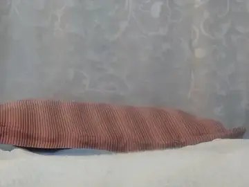Bunnyxx01  live sex cam