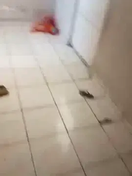 ------bucetuda------  live sex cam