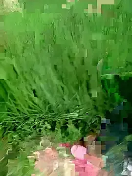 Nana-AsianWet  live sex cam