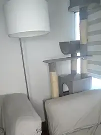 Paola_Lyon_  live sex cam