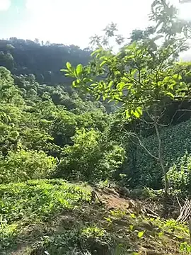 Oneyou_400  live sex cam
