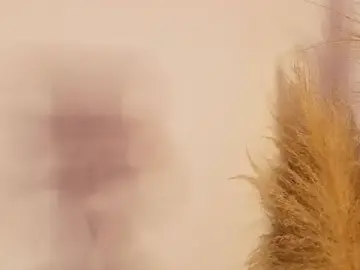 April_powl  live sex cam