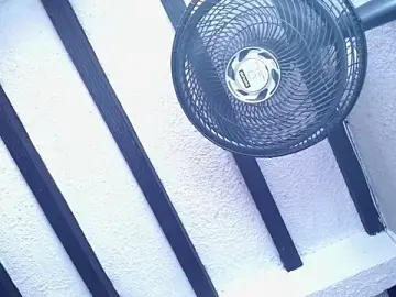 CurlyDani  live sex cam