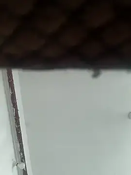Kashish2400  live sex cam