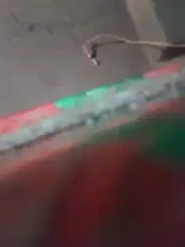 Pujarad  live sex cam