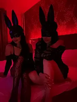 Cikolatatavsani  live sex cam