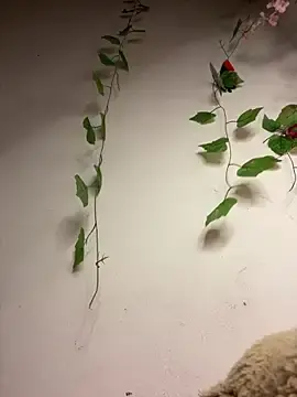 M192003  live sex cam