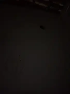 Babizinhajb  live sex cam