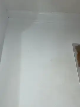 Adeline_1  live sex cam