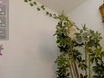 FaloonRoussel  live sex cam