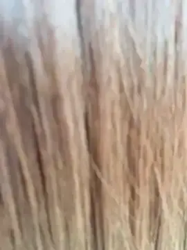 Kia_v_v  live sex cam