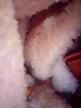 Kertsaly  live sex cam