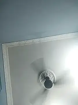 Kavaya782  live sex cam