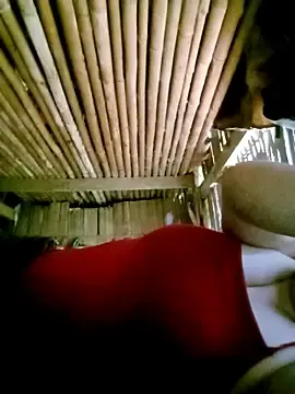 Tdtd57  live sex cam