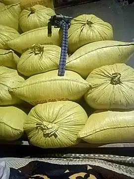 Kaia-cam  live sex cam