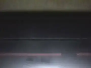 Wildflowers_xoxo  live sex cam