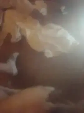 Lacolopetera69  live sex cam