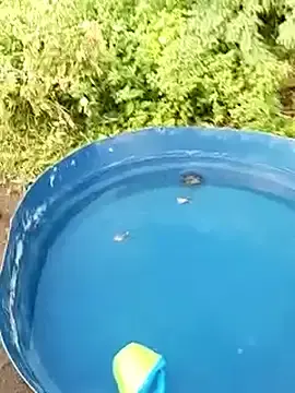 _____putinha_______  live sex cam