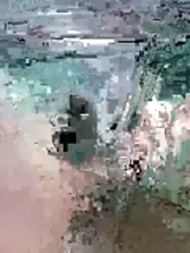 Bellabrik  live sex cam